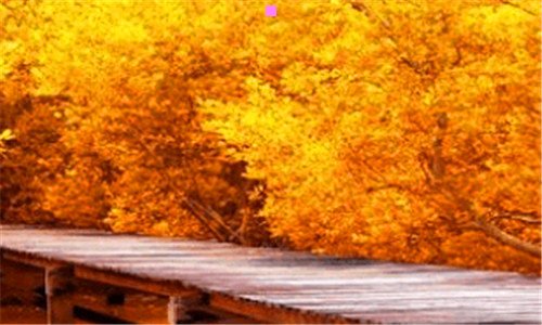 一真人sd娃娃是什么意思