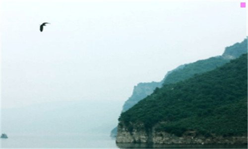 二深圳大梅沙现在开放吗