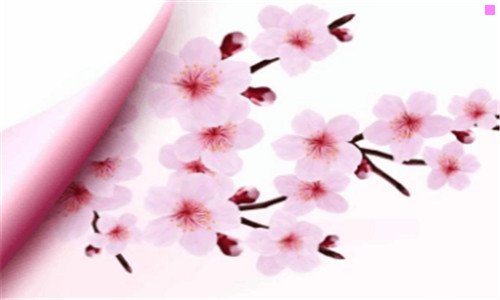 一小爱同学