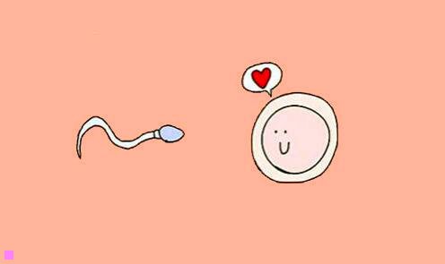 一喜来登大酒店