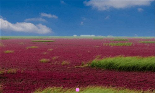 二什么叫分子