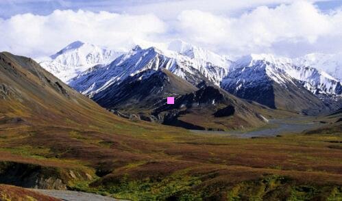 二乔巴的配音怎么换了