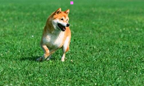 三泰安大型儿童游乐场