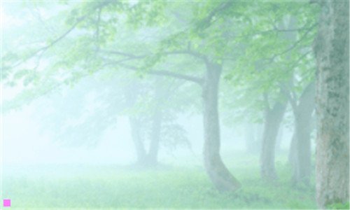 二雨崩村旅游攻略