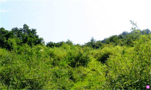 一富力天河华庭