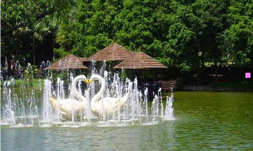 二cctv最近很火的纪录片