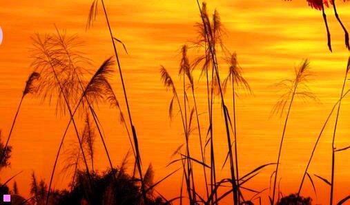 三lol手游正式上线时间