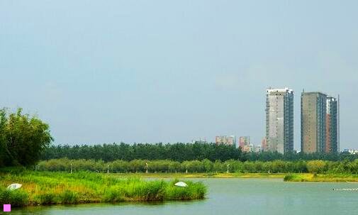 一手机版英雄联盟