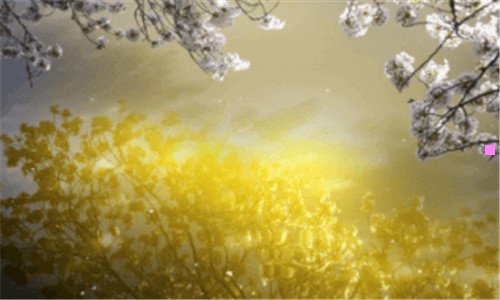 二shutdown命令用法