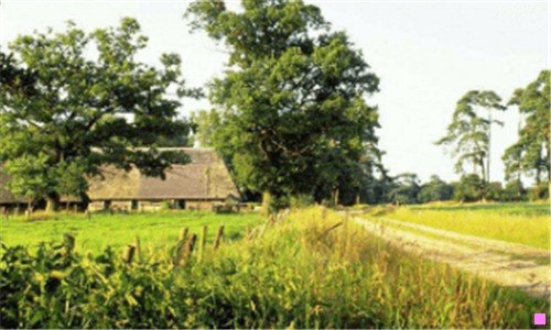 二海上吉普赛人 巴瑶族