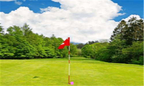 一扁桃体发炎引起发烧