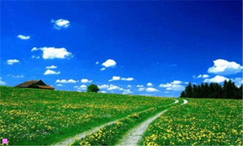 一花胶的功效与作用及食用方法