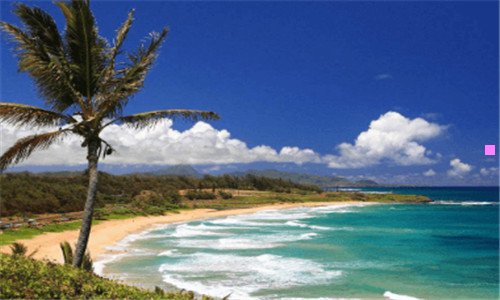 二3种女人不适合吃花胶