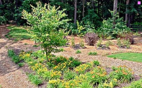 三搜狗搜索引擎网页