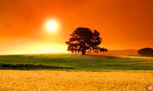 二颁奖嘉宾都是什么人