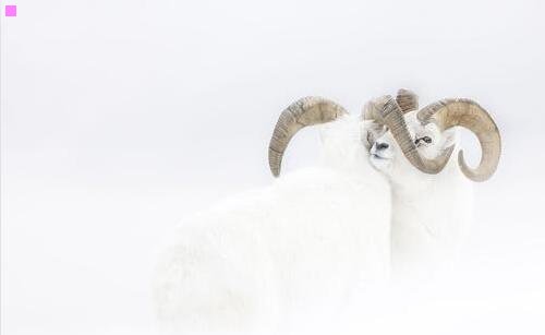 三今天发生的重大新闻