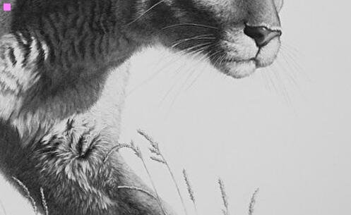 三1700万音浪多少钱