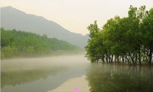 三龙猫百度百科