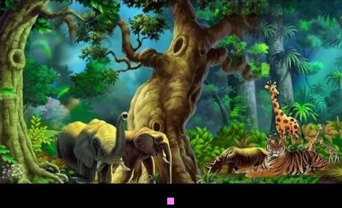 二港珠澳大桥包车价格