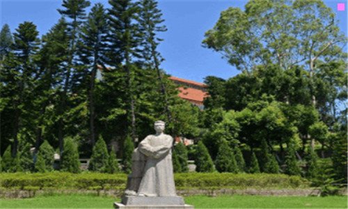 三5o万元以上兰草图片