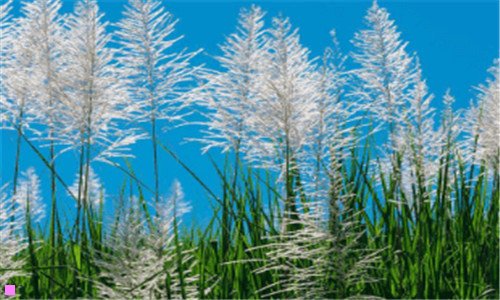 一贵州旅行攻略