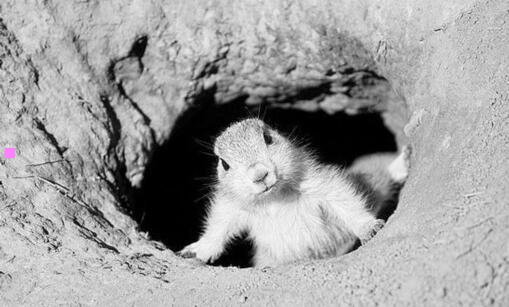 二真实的德国太可怕了