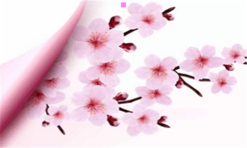 一登革热症状