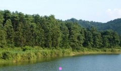 广安招聘-广安民安精神病专科医院