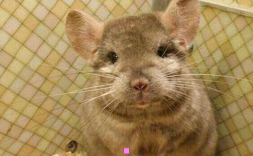 二杭州到新安江怎么去