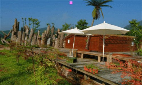 二921地震中国的态度