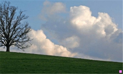 二电影豫剧 朝阳沟 全集