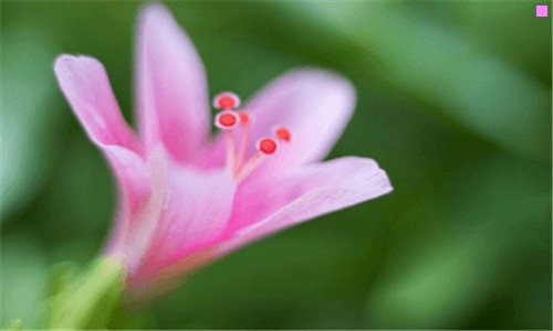 二女生说无聊死了幽默回复