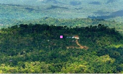 二意大利面碗效应