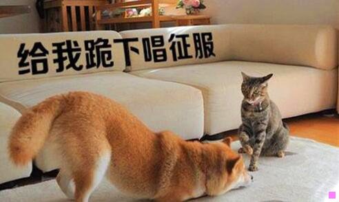 一环县一中