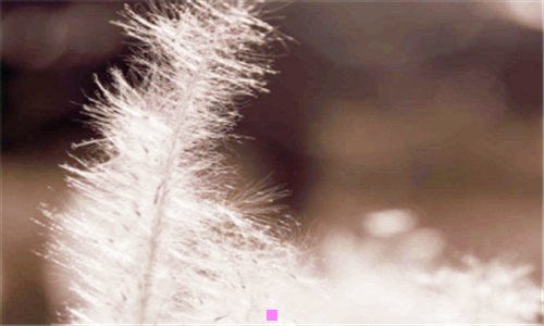 一跟我走吧猪贱强