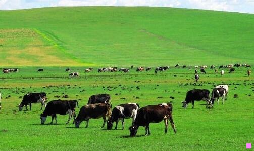 三新闻联播片头曲