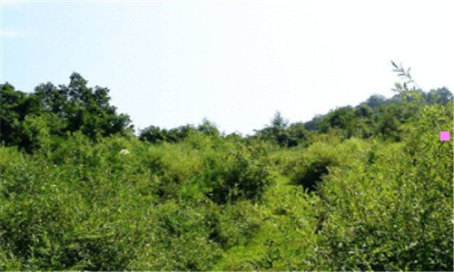 二汇众