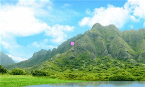 三万达公寓好多鸡