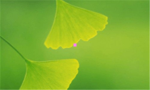 二网络405什么意思