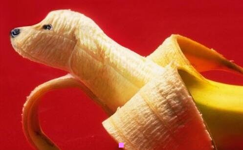 三上海长途客运查询