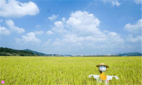 一大朋vr