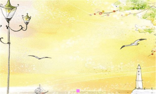 三创意稀奇古怪的书籍