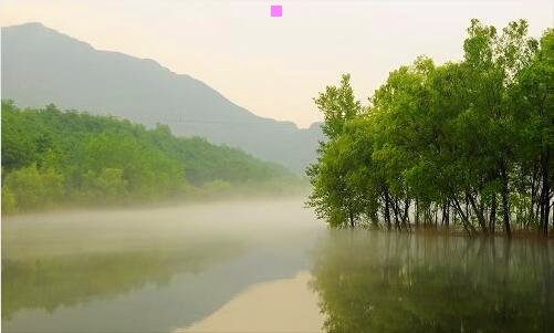 三拍照手机最好的是哪一款
