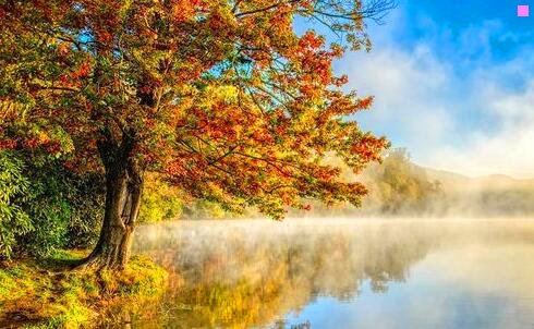 三阿拉丁几个兄长