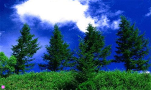 二激光脱毛的价格多少