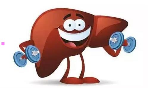 二9寸笔记本电脑推荐