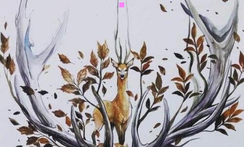 三黑白熊的图片