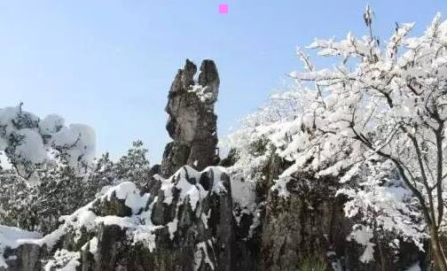 二元阳未泄是什么意思