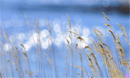 二无锡宝龙公寓的妹子