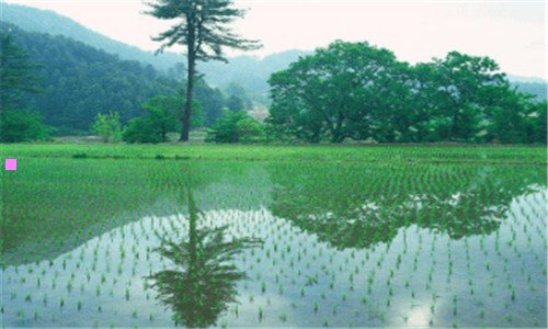 二东营十大特色餐馆